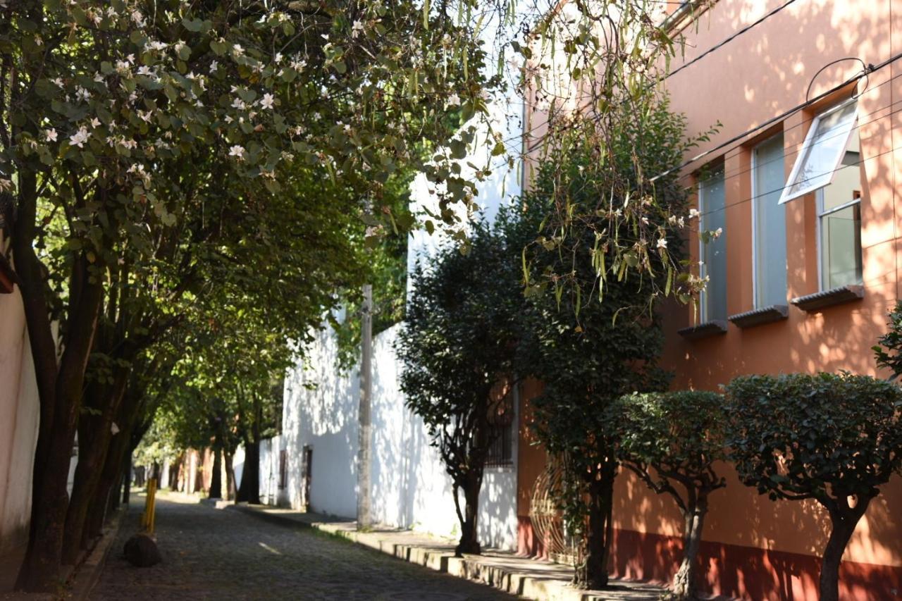 Casa Lulu Coyoacan Alvaro Obregon Kültér fotó