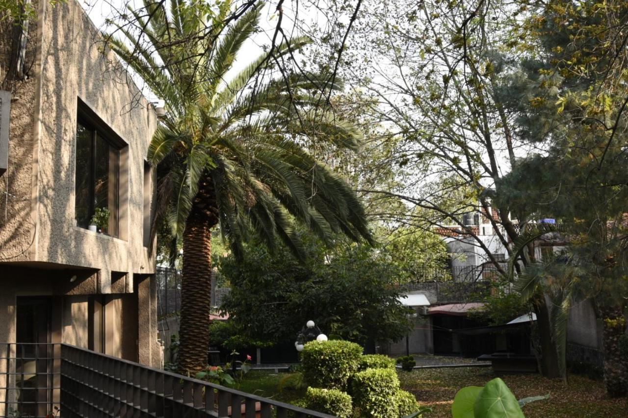 Casa Lulu Coyoacan Alvaro Obregon Kültér fotó