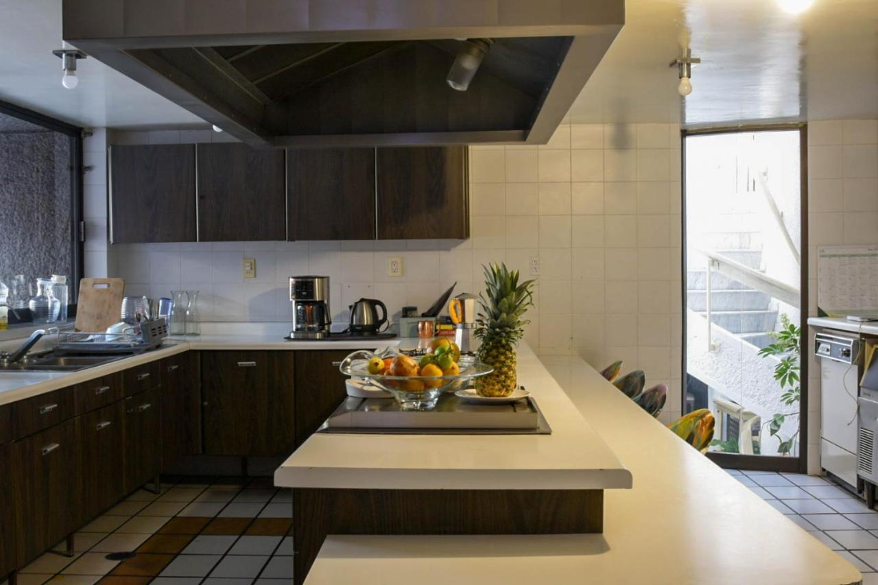 Casa Lulu Coyoacan Alvaro Obregon Kültér fotó