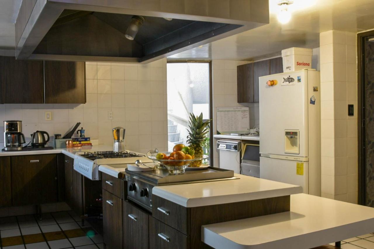Casa Lulu Coyoacan Alvaro Obregon Kültér fotó