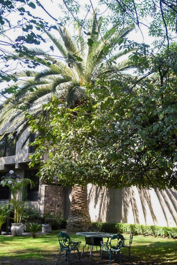 Casa Lulu Coyoacan Alvaro Obregon Kültér fotó