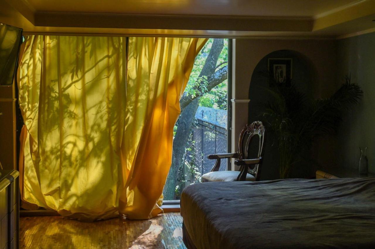 Casa Lulu Coyoacan Alvaro Obregon Kültér fotó